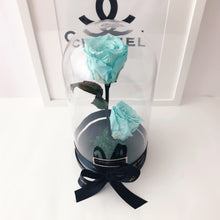 Load image into Gallery viewer, The Beauty and the Beast Rose big with Eternity Roses | The Prestige Roses Spain
