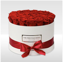 Load image into Gallery viewer, White Elite Box - The Prestige Roses Spain