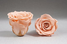 Load image into Gallery viewer, Le Mini Velvet White Box with Eternity Roses | The Prestige Roses Spain
