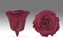 Load image into Gallery viewer, Le Mini Black Box with Eternity Roses | The Prestige Roses Spain