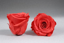Load image into Gallery viewer, Black Mini Box with orange Eternity Roses | The Prestige Roses Spain