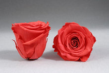 Load image into Gallery viewer, Black Medium Box with orange Eternity Roses | The Prestige Roses Spain