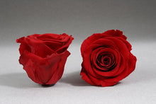 Load image into Gallery viewer, White Square Box with red Eternity Roses | The Prestige Roses Spain