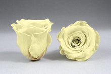 Load image into Gallery viewer, Le Mini Velvet White Box with Eternity Roses | The Prestige Roses Spain