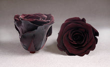 Load image into Gallery viewer, Black Medium Box with red Eternity Roses | The Prestige Roses Spain
