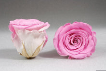 Load image into Gallery viewer, White Medium Box with pink Eternity Roses | The Prestige Roses Spain