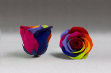 Load image into Gallery viewer, The Beauty and the Beast Rose big with Eternity Roses | The Prestige Roses Spain