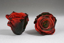Load image into Gallery viewer, Black Mini Box with red eternity Roses | The Prestige Roses Spain