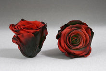 Load image into Gallery viewer, White Medium Box with red  Eternity Roses | The Prestige Roses Spain