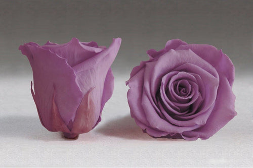 Black Heart Box with purple Eternity Roses | The Prestige Roses Spain