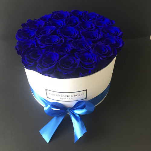 White Big Box with blue Eternity Roses | The Prestige Roses Spain