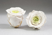 Load image into Gallery viewer, The Beauty and the Beast Rose small with Eternity Roses | The Prestige Roses Spain