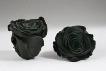 Load image into Gallery viewer, The Beauty and the Beast Rose small with Eternity Roses | The Prestige Roses Spain