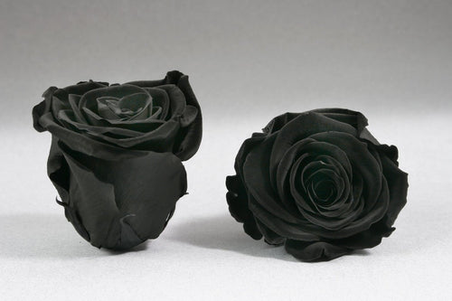 Black Square Box with black Eternity Roses | The Prestige Roses Spain