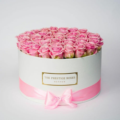 White Big Box with pink Eternity Roses | The Prestige Roses Spain