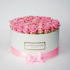 White Big Box with pink Eternity Roses | The Prestige Roses Spain