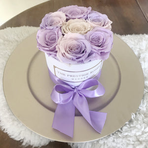 White Mini Box with purple Eternity Roses | The Prestige Roses Spain