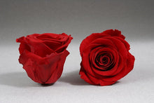 Load image into Gallery viewer, White Mini Box with red Eternity Roses | The Prestige Roses Spain