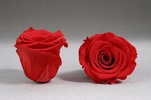 White Mini Box with red Eternity Roses | The Prestige Roses Spain