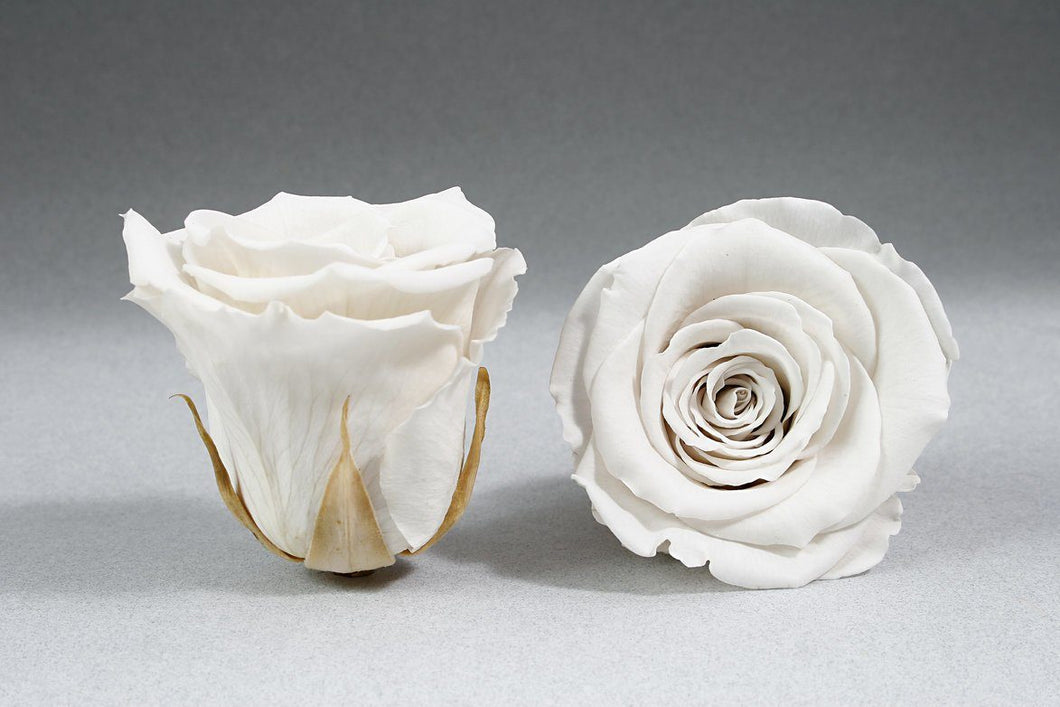 White Heart Box with white Eternity Roses | The Prestige Roses Spain