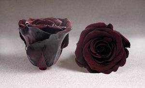Black Heart Box with red  Eternity Roses | The Prestige Roses Spain