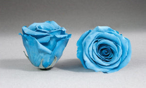 Black Medium Box with blue Eternity Roses | The Prestige Roses Spain