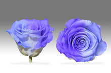 Load image into Gallery viewer, White Mini Box with purple Eternity Roses | The Prestige Roses Spain