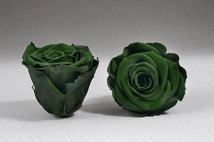 White Big Box with green Eternity Roses | The Prestige Roses Spain