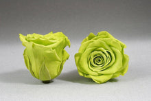 Load image into Gallery viewer, White Big Box with green Eternity Roses | The Prestige Roses Spain