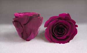 Black Medium Box with pink Eternity Roses | The Prestige Roses Spain