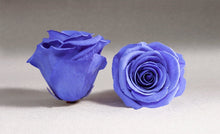 Load image into Gallery viewer, Black Medium Box with violet Eternity Roses | The Prestige Roses Spain