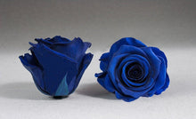 Load image into Gallery viewer, White Heart Box with blue Eternity Roses | The Prestige Roses Spain