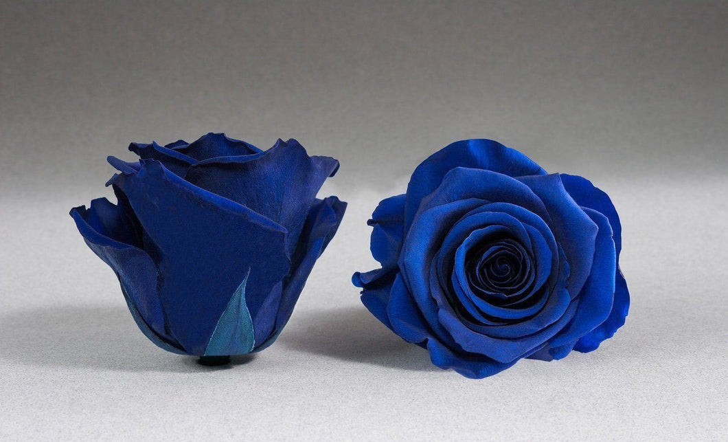 White Heart Box with blue Eternity Roses | The Prestige Roses Spain