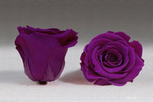 Load image into Gallery viewer, White Mini Box with purple Eternity Roses | The Prestige Roses Spain