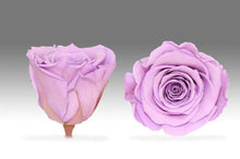 Load image into Gallery viewer, White Mini Box with purple Eternity Roses | The Prestige Roses Spain