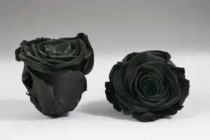 White Big Box with black velvet Eternity Roses | The Prestige Roses Spain