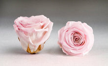 Load image into Gallery viewer, White Medium Box with pink Eternity Roses | The Prestige Roses Spain