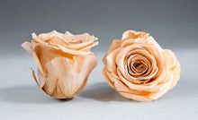 Load image into Gallery viewer, White Medium Box with Champagne  Eternity Roses | The Prestige Roses Spain
