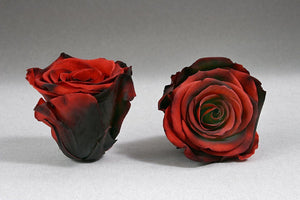 Black Mini Box with red eternity Roses | The Prestige Roses Spain