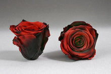 Load image into Gallery viewer, Black Big Box with red Eternity Roses | The Prestige Roses Spain