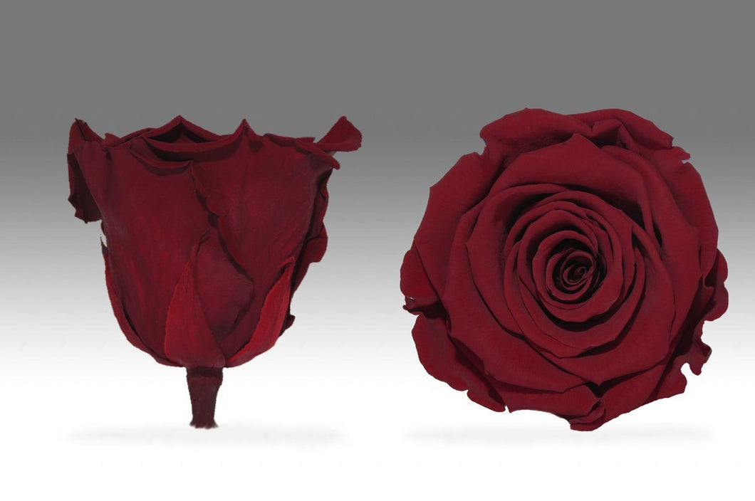 Black Mini Box with red eternity Roses | The Prestige Roses Spain