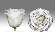 Load image into Gallery viewer, White Heart Box with white Eternity Roses | The Prestige Roses Spain