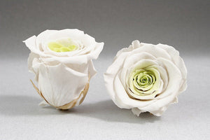  White Heart Box with white Eternity Roses | The Prestige Roses Spain